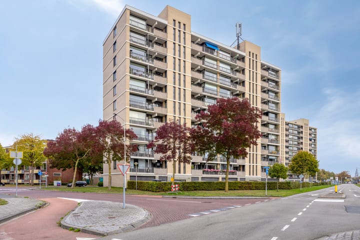 Photo 26 of Grote Spie 175