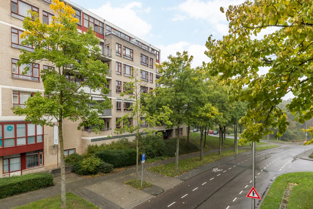 Foto 37 van Zeswegenlaan 265