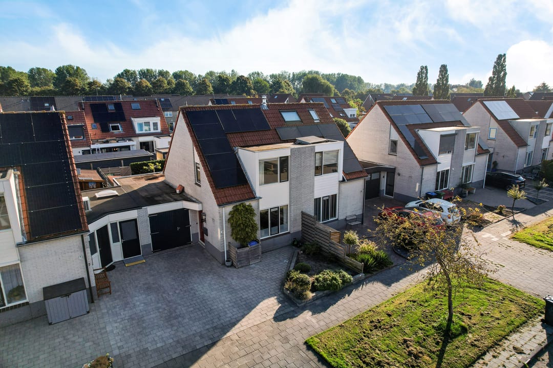 Foto 1 van Paardebloem 9