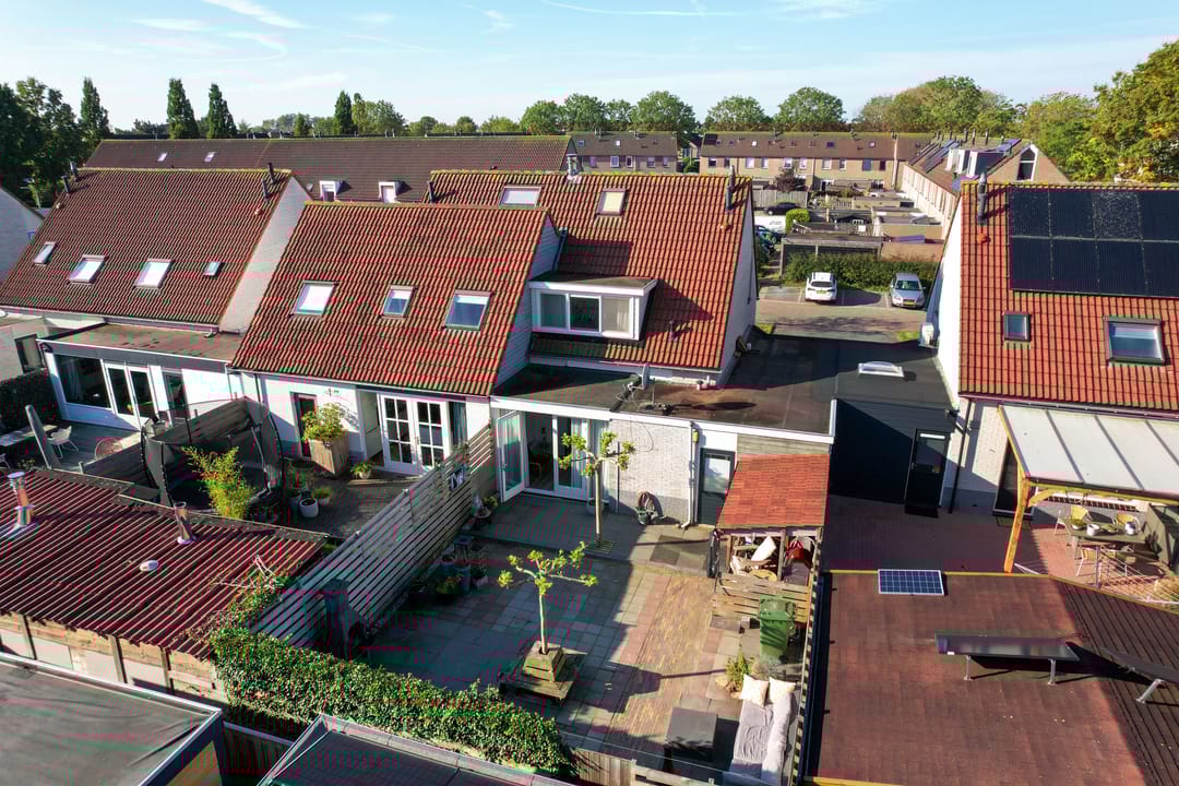 Foto 2 van Paardebloem 9