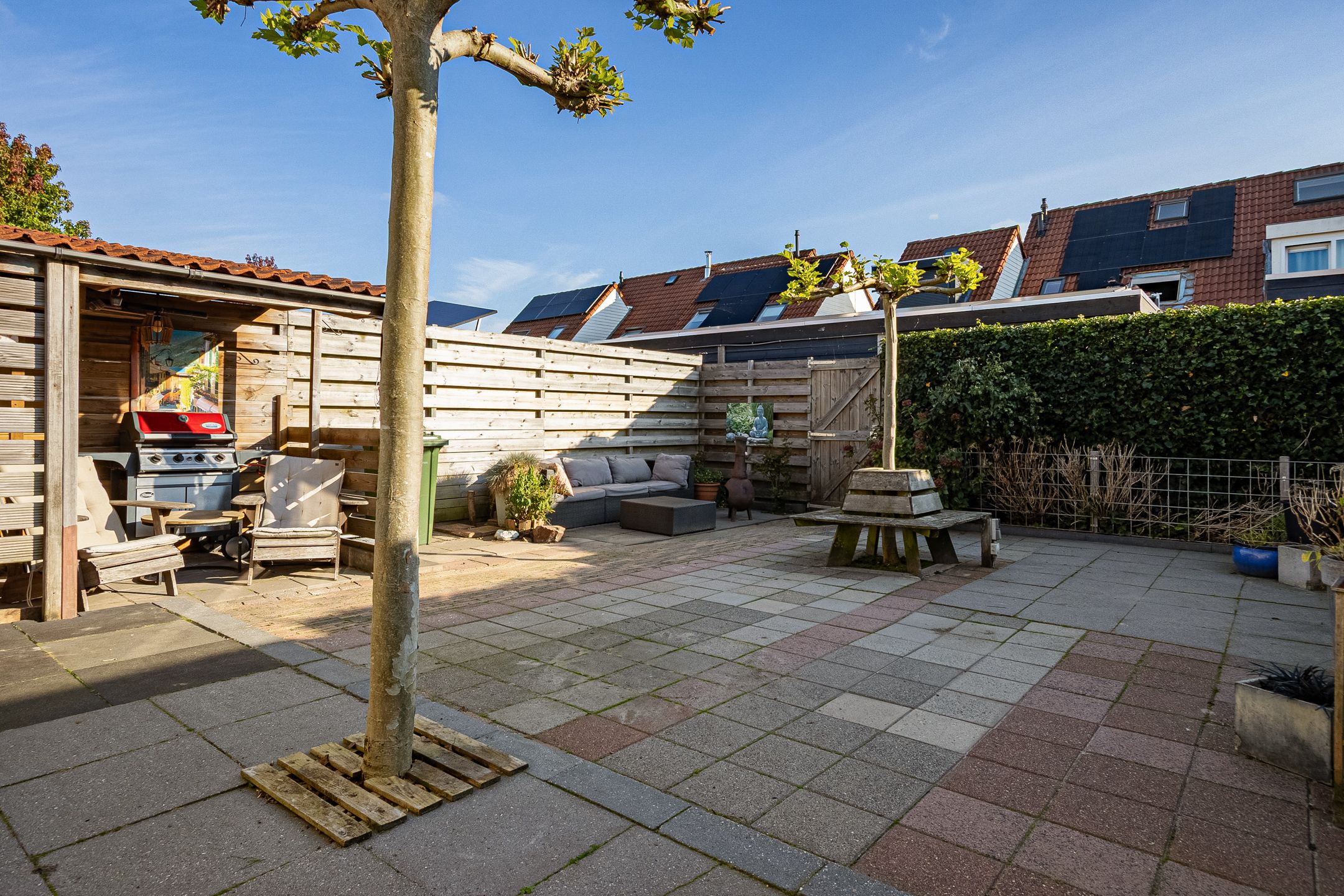 Foto 3 van Paardebloem 9