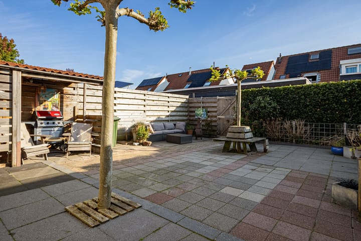 Foto 3 van Paardebloem 9