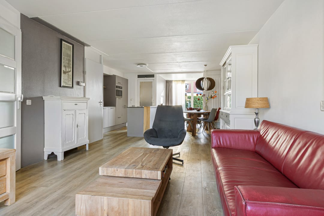 Foto 11 van Paardebloem 9