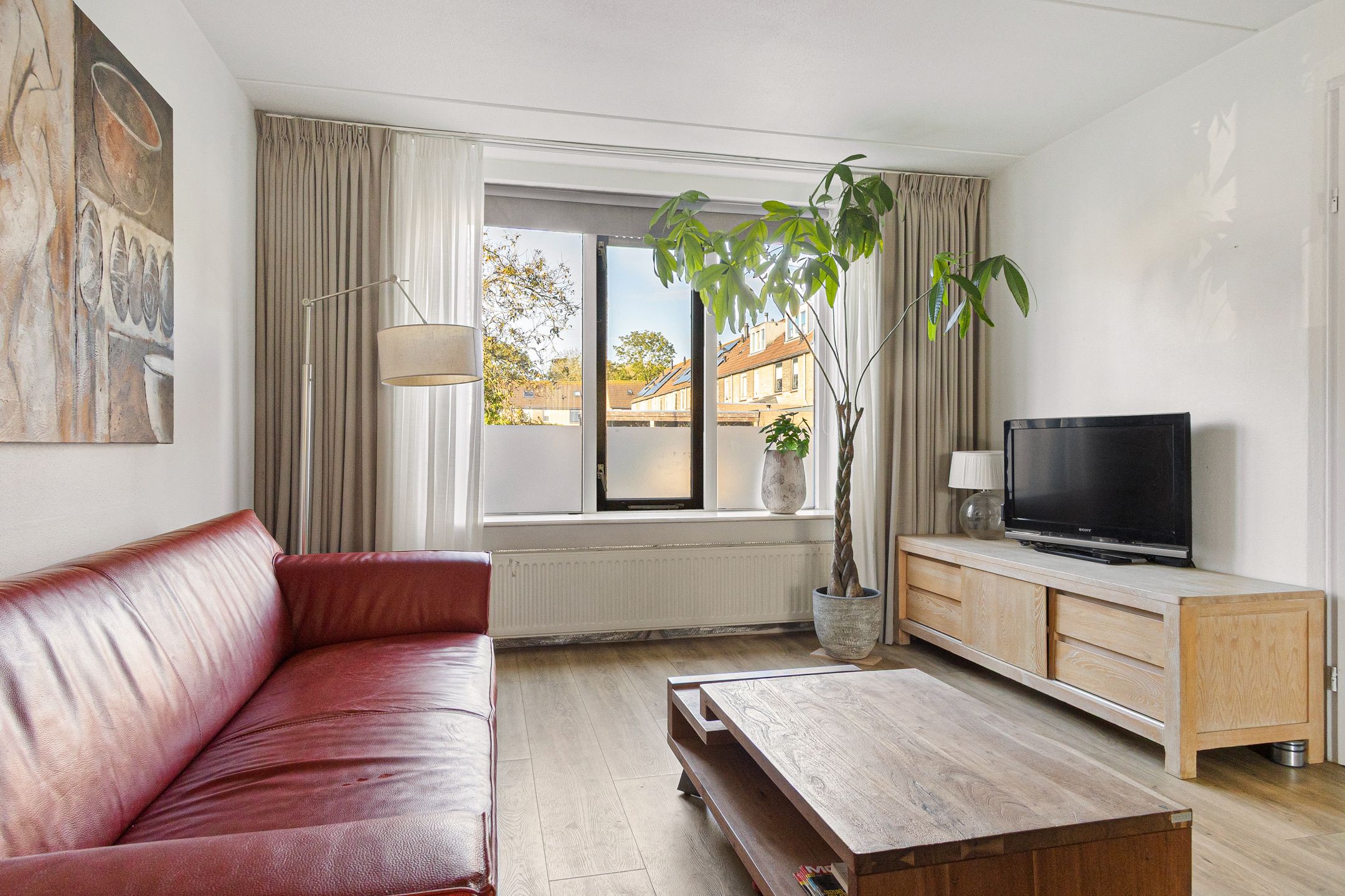 Foto 12 van Paardebloem 9