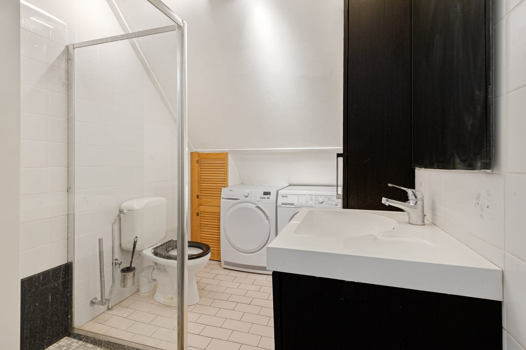 Foto 22 van Paardebloem 9