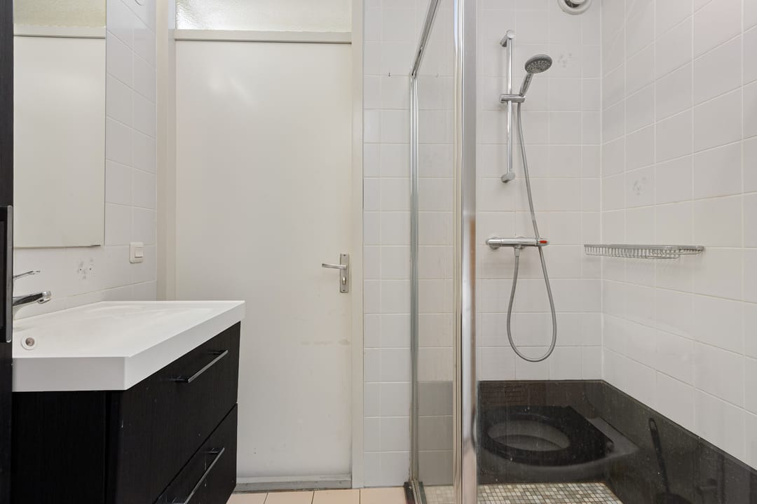 Foto 23 van Paardebloem 9