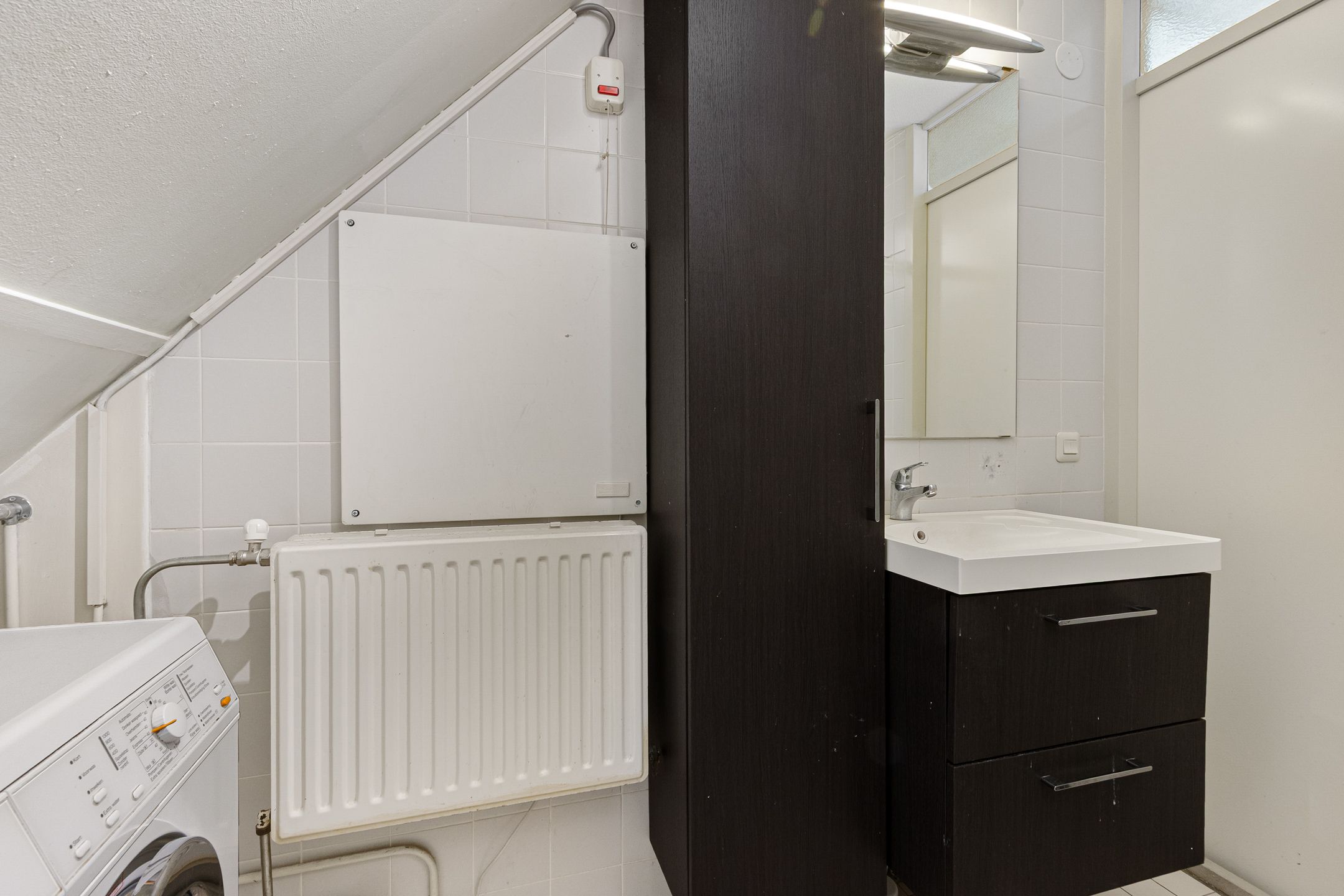 Foto 24 van Paardebloem 9