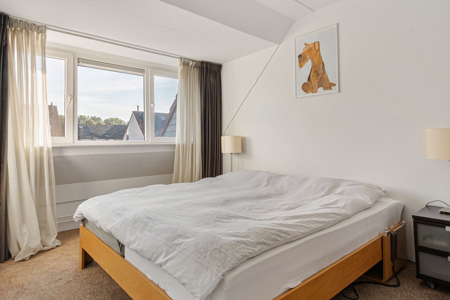 Foto 25 van Paardebloem 9