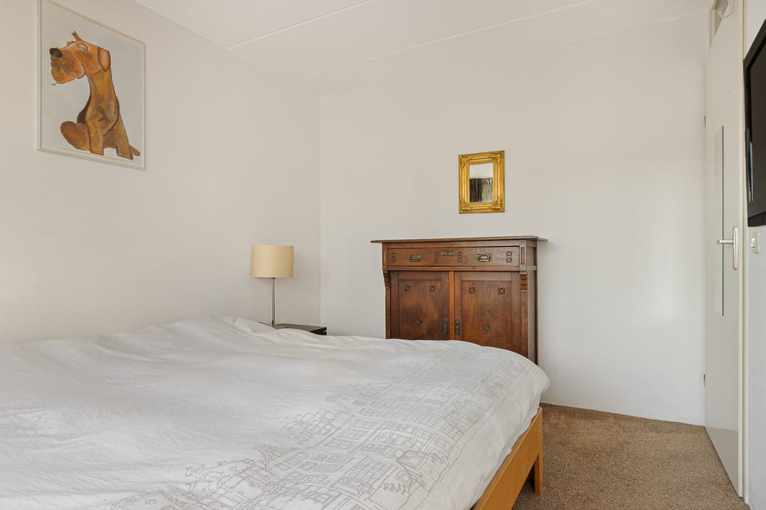 Foto 26 van Paardebloem 9