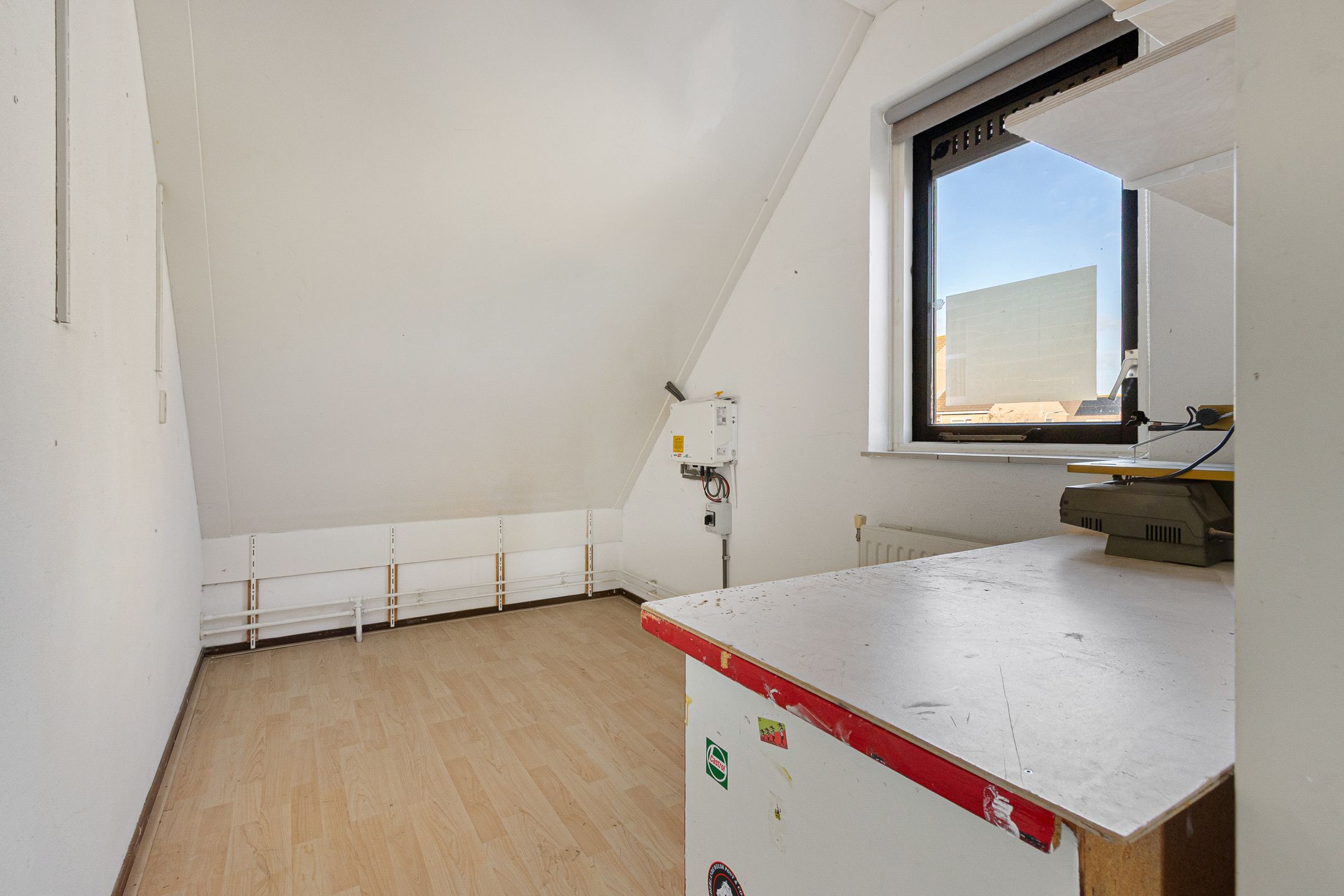 Foto 30 van Paardebloem 9