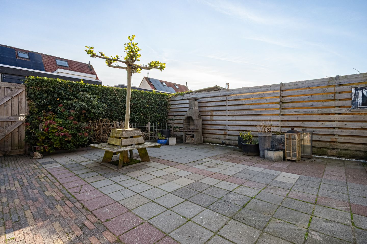 Foto 35 van Paardebloem 9