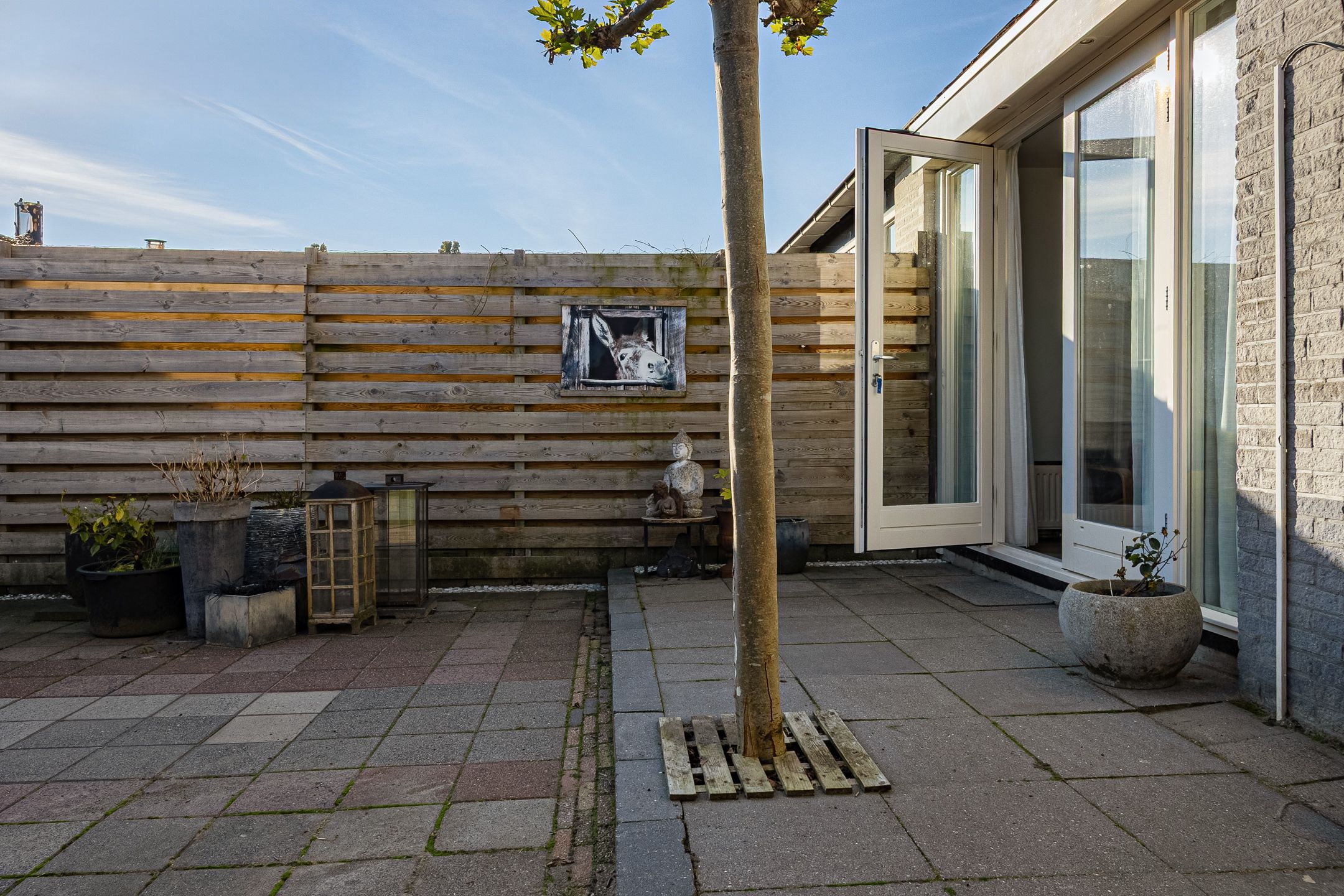 Foto 36 van Paardebloem 9