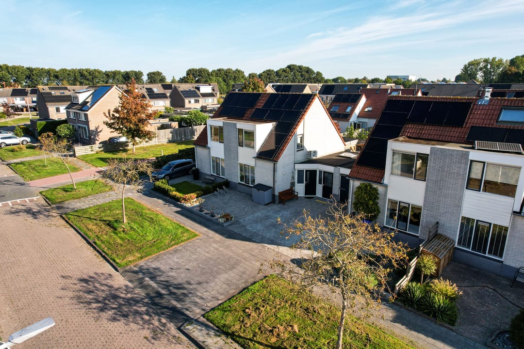 Foto 37 van Paardebloem 9