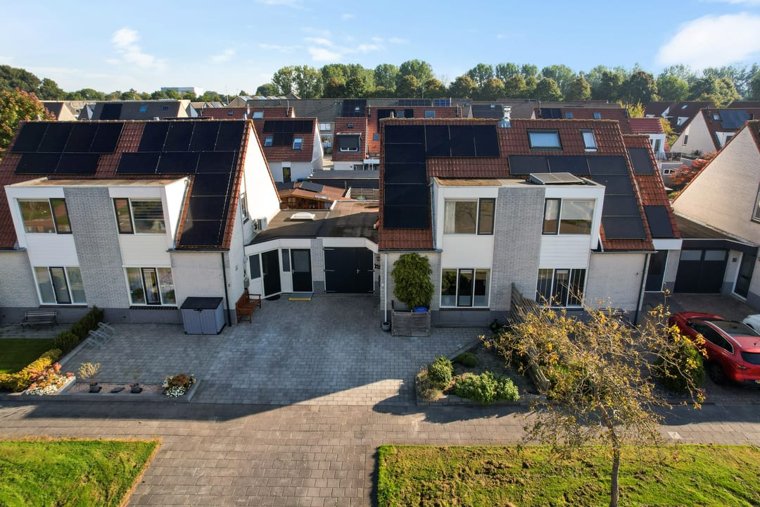 Foto 38 van Paardebloem 9