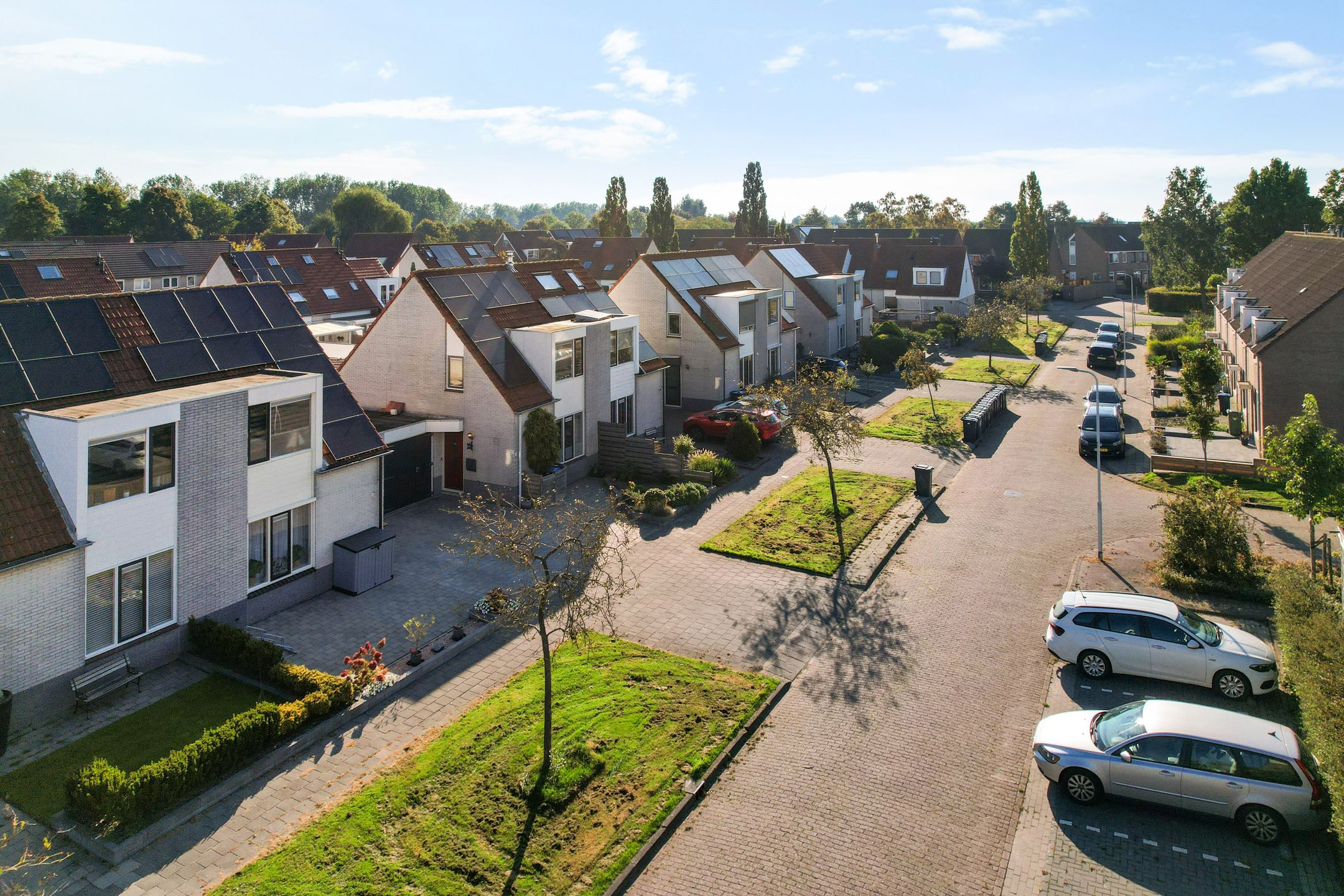 Foto 39 van Paardebloem 9