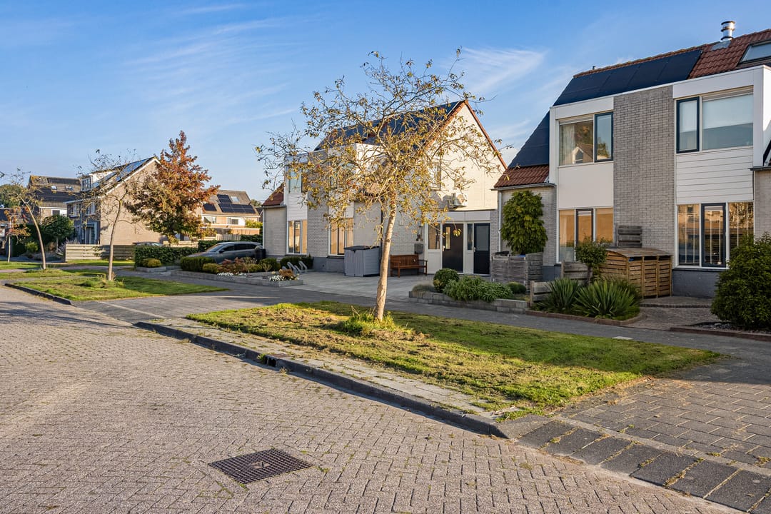 Foto 43 van Paardebloem 9