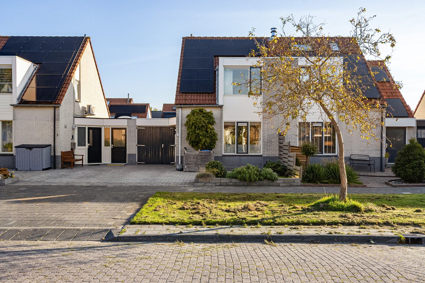 Foto 44 van Paardebloem 9