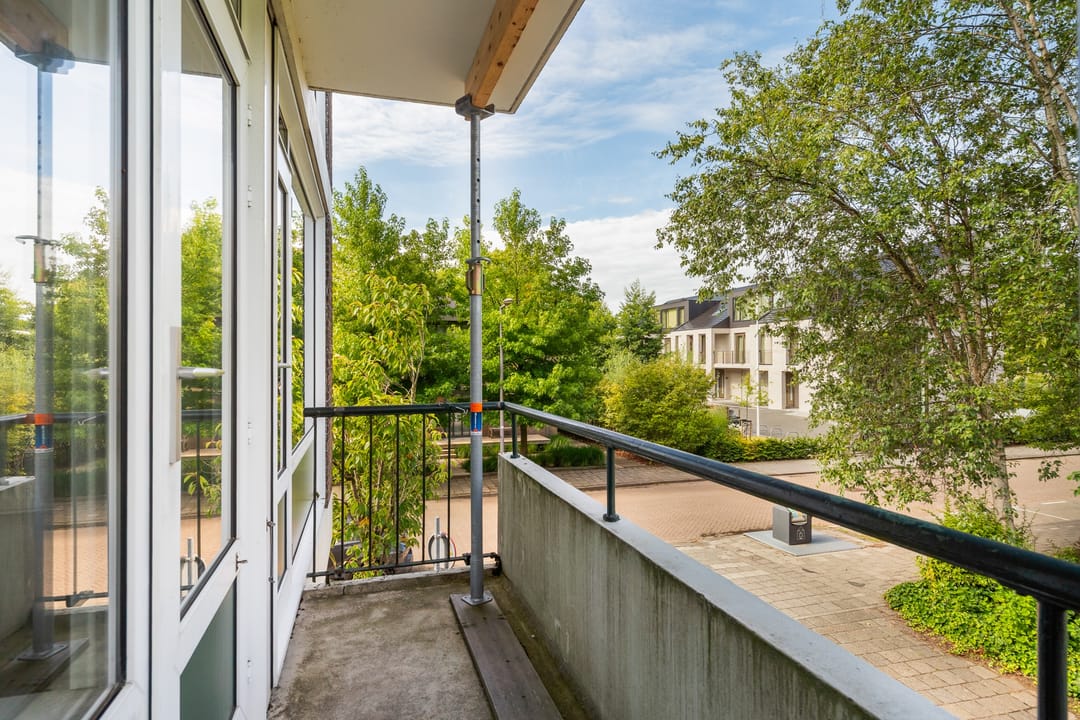 Foto 17 van De Lairesselaan 155