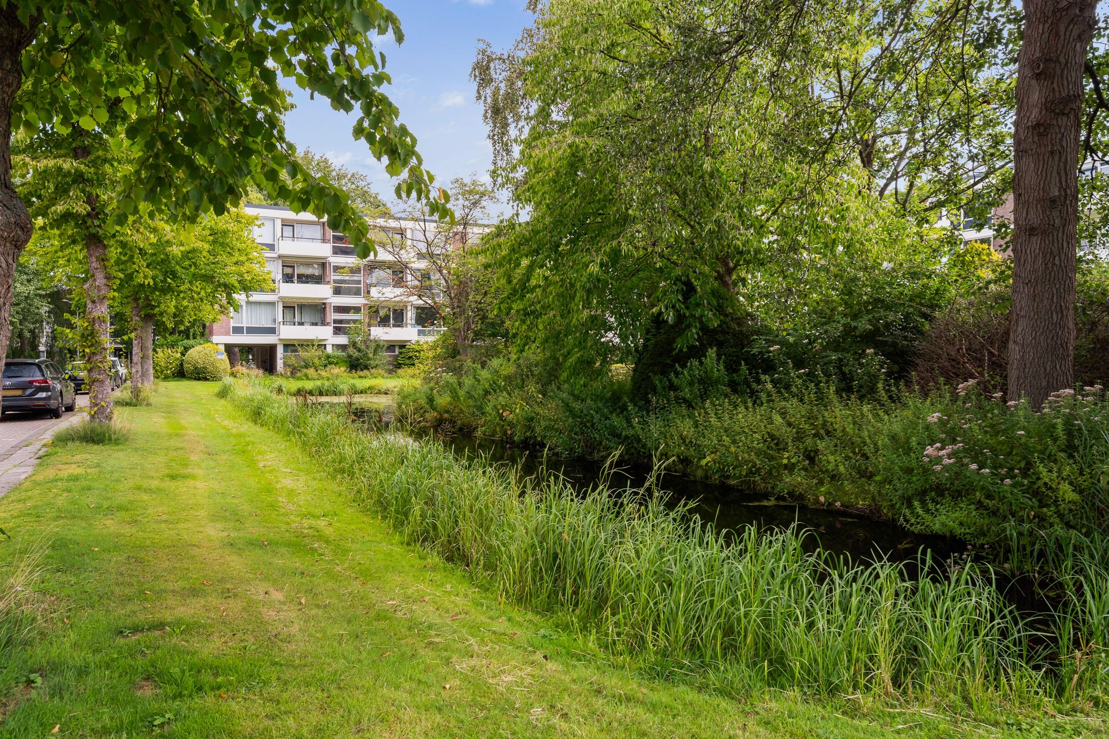 Foto 21 van De Lairesselaan 155