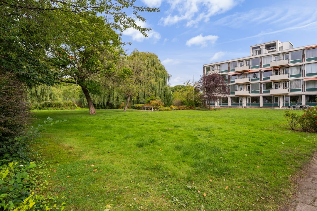 Foto 22 van De Lairesselaan 155