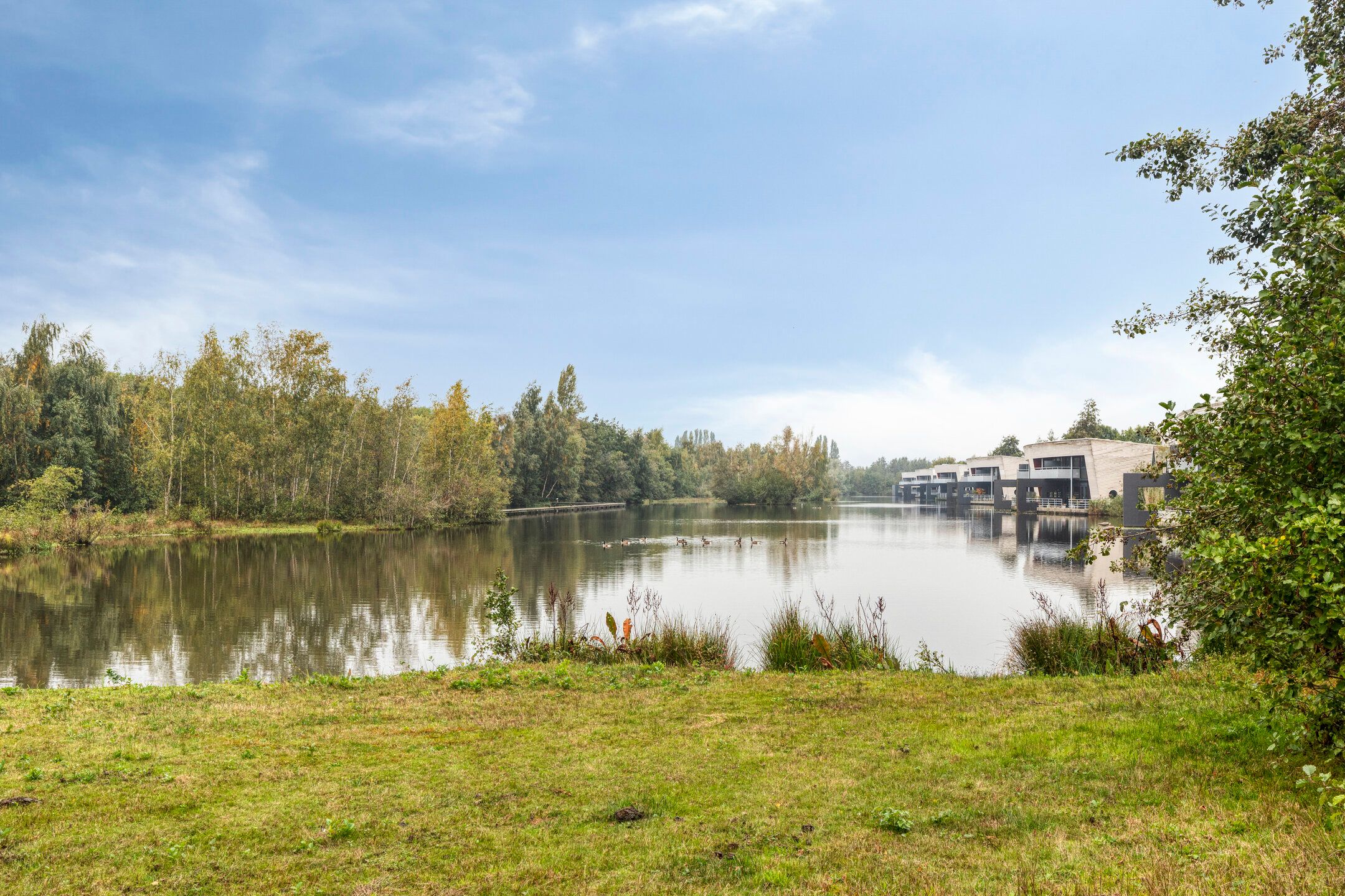 Foto 6 van Metslawierstraat 6