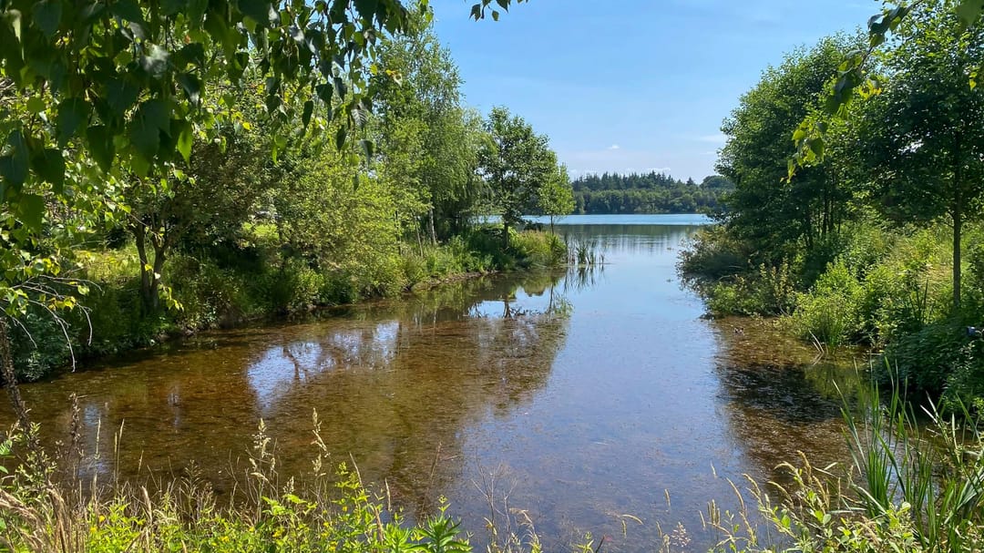 Foto 43 van Avelsberg 50