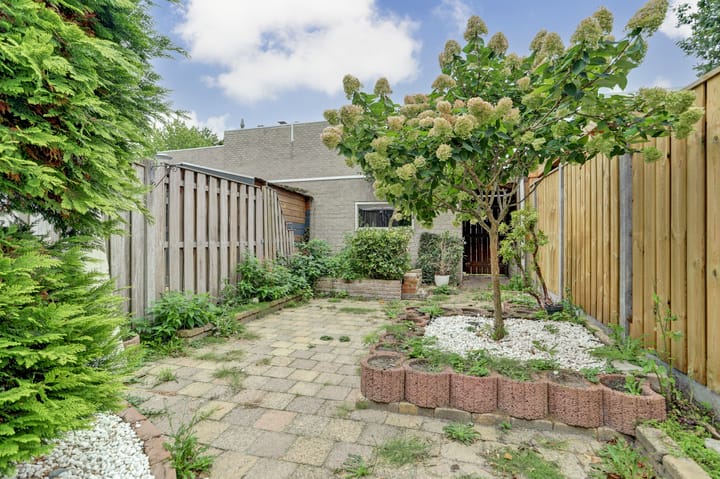 Foto 30 van Titaniastraat 10