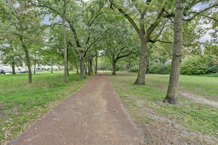 Foto 36 van Titaniastraat 10