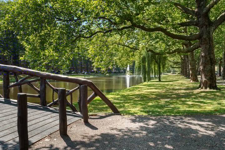 Foto 32 van Heemraadssingel 103-E