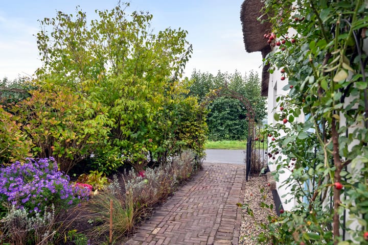 Photo 31 of Dreef 19