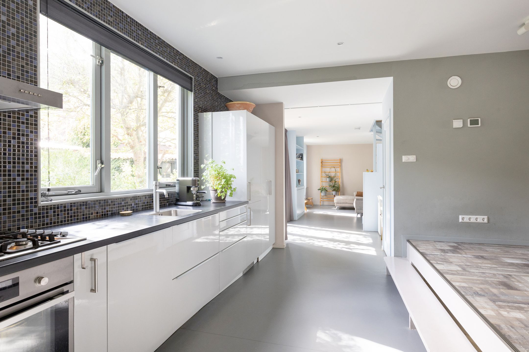 Foto 18 van Nieuwe Koekoekstraat 59