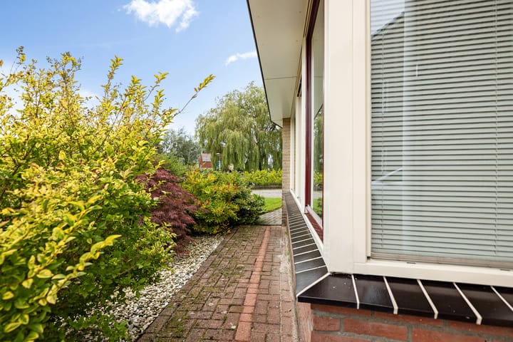 Foto 7 van De Skuorrereed 6