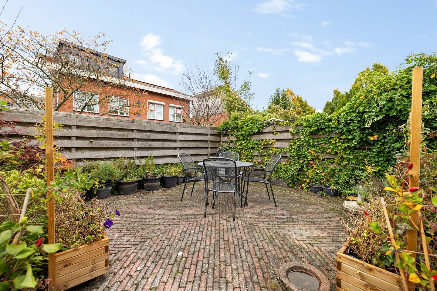 Foto 35 van De Skuorrereed 6