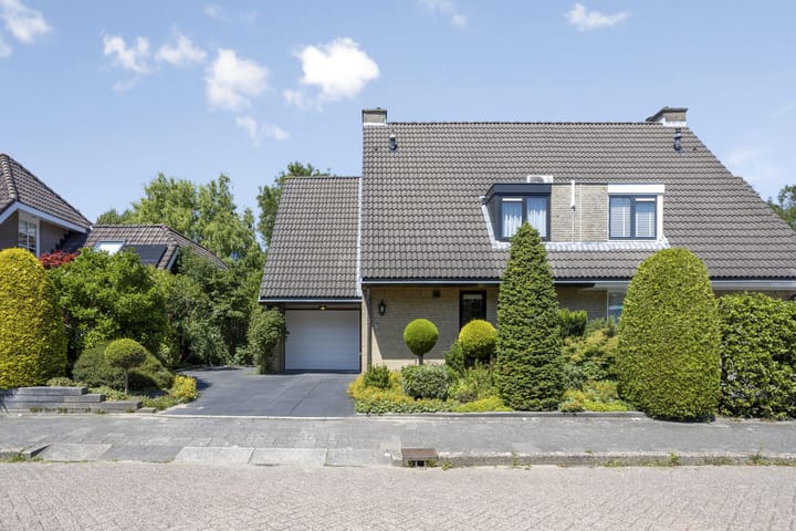 Foto 41 van Elisabeth Catsvliet 11