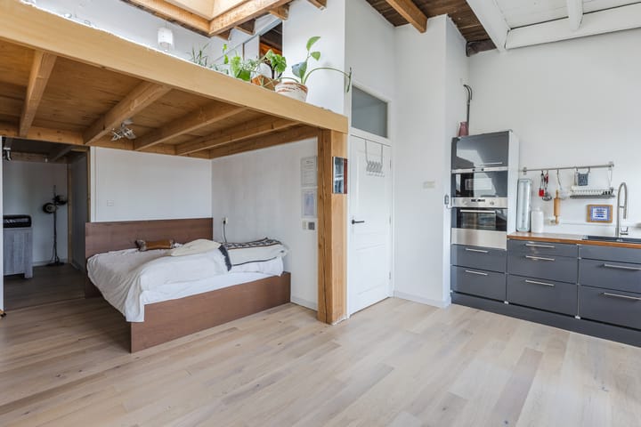 Foto 3 van Tweede Jan Steenstraat 115-4