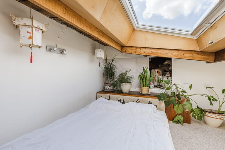 Foto 6 van Tweede Jan Steenstraat 115-4