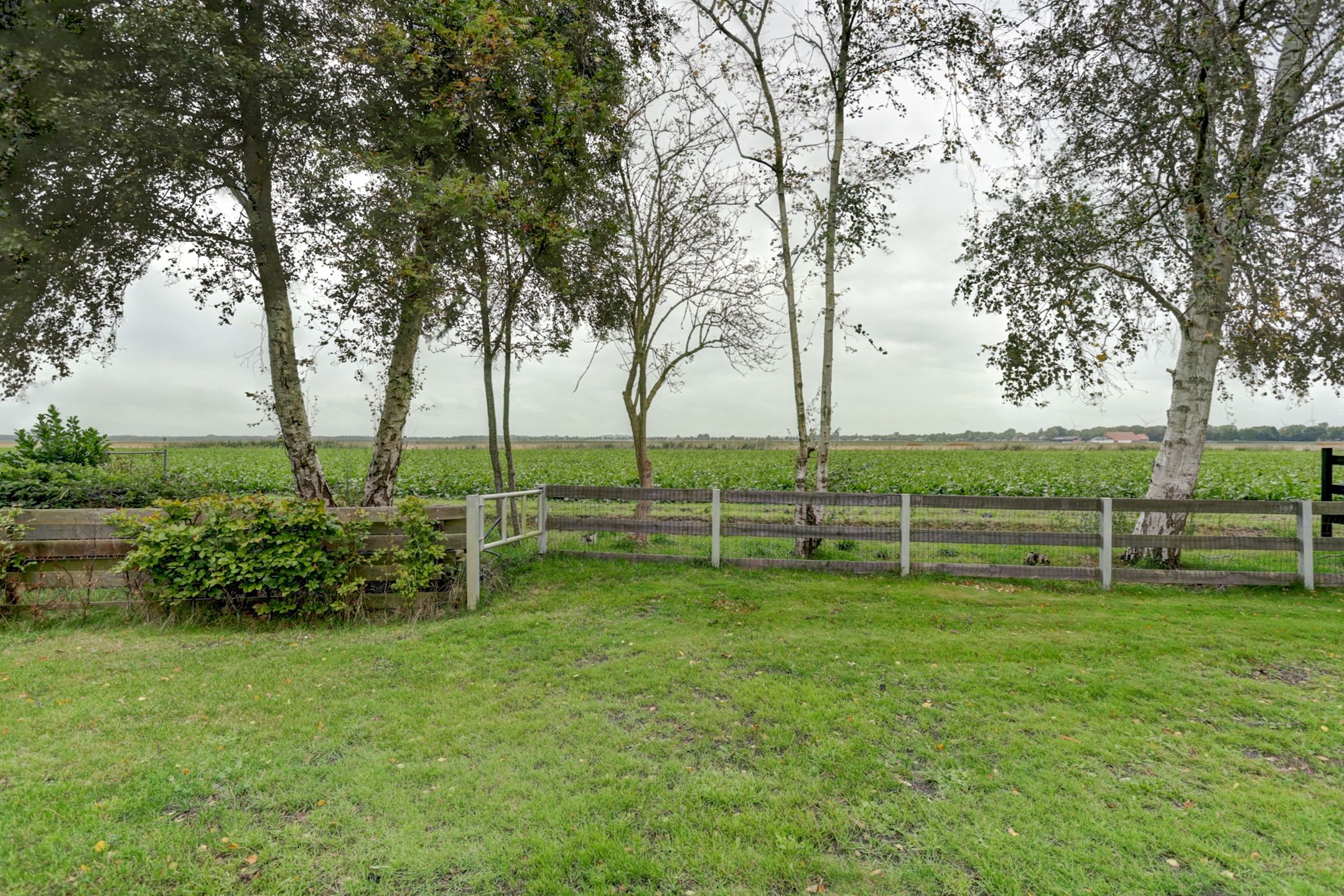 Foto 36 van Verlengde Scholtenskanaal WZ 47