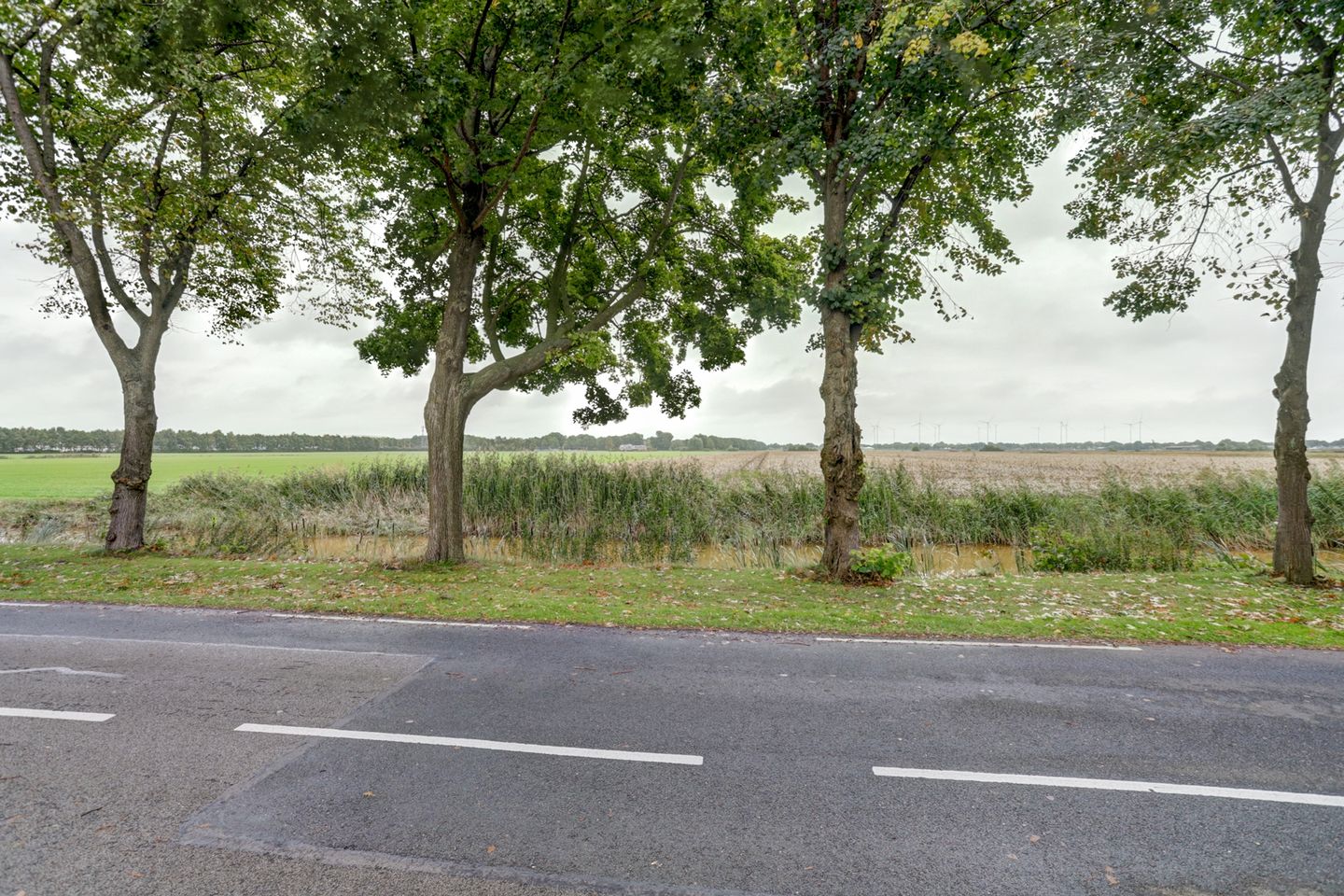 Foto 40 van Verlengde Scholtenskanaal WZ 47