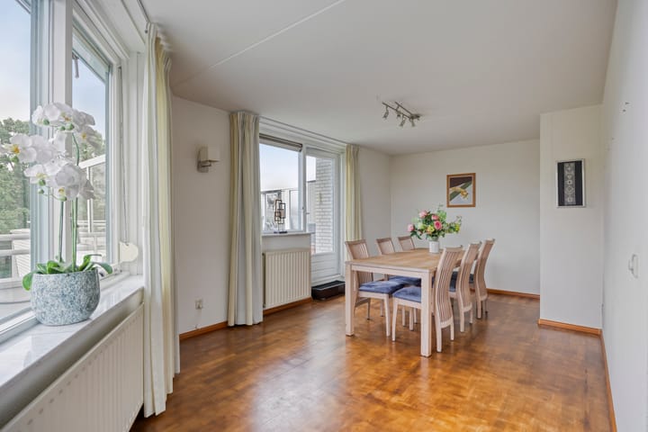 Foto 9 van Symfonie 18