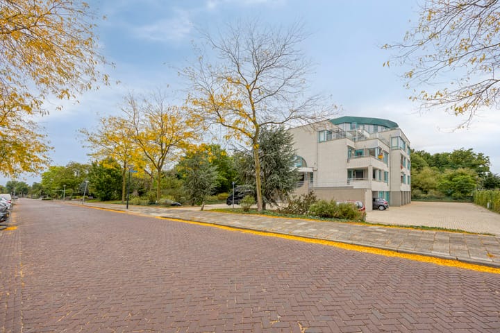 Foto 36 van Symfonie 18