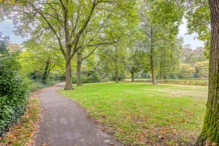 Foto 40 van Symfonie 18