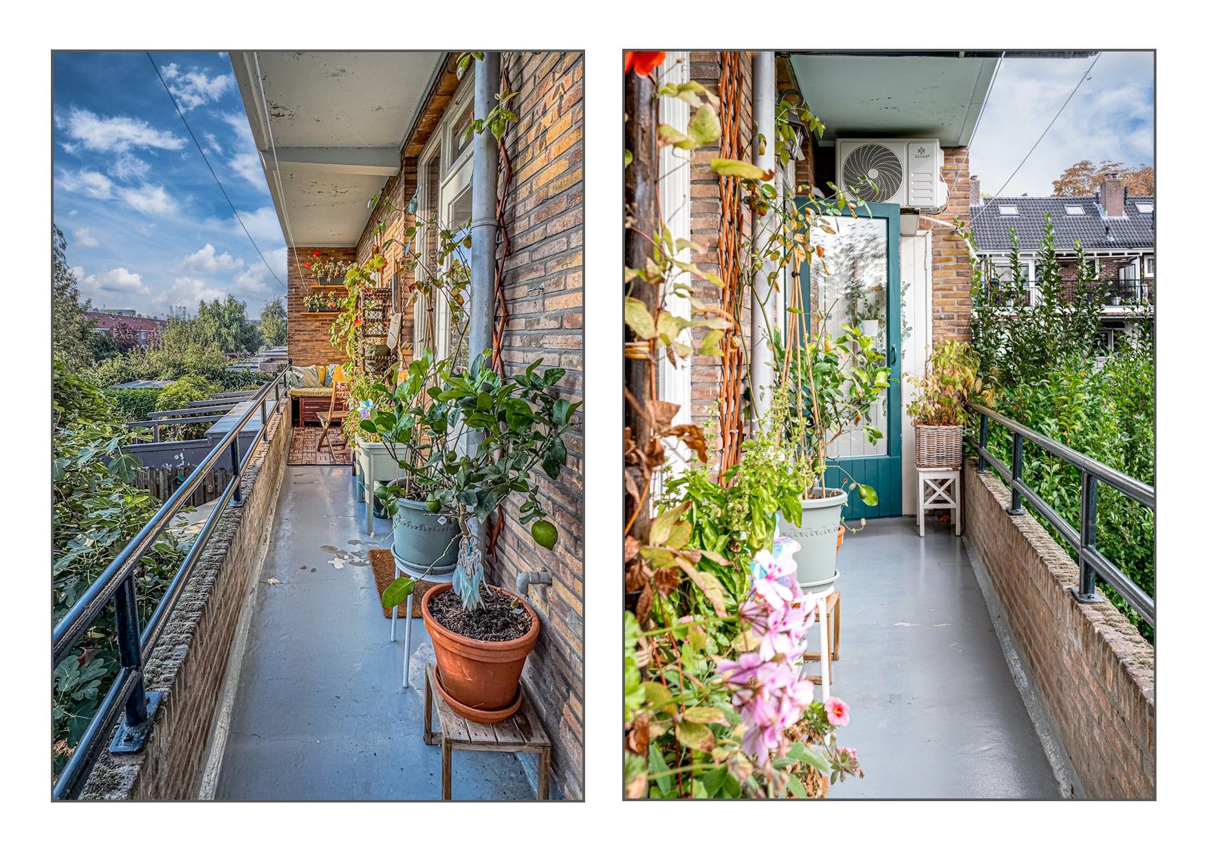 Foto 3 van Ranonkelstraat 13-2