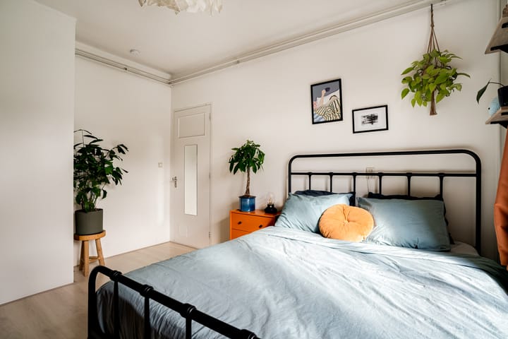 Foto 29 van Ranonkelstraat 13-2