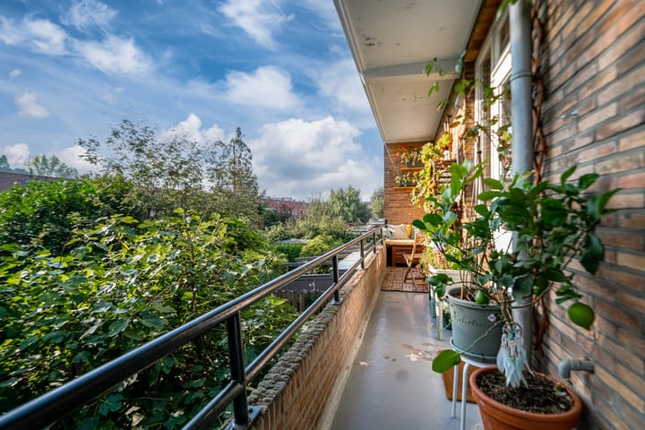 Foto 40 van Ranonkelstraat 13-2