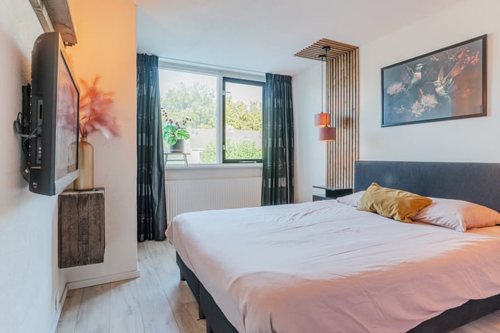 Foto 3 van Snaphaan 11