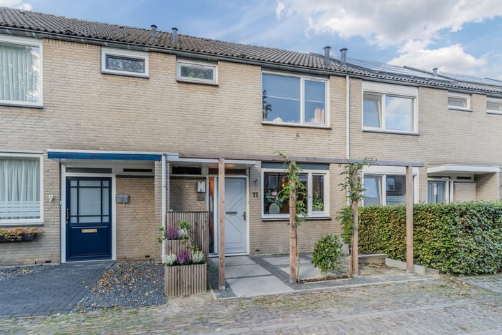 Foto 5 van Snaphaan 11