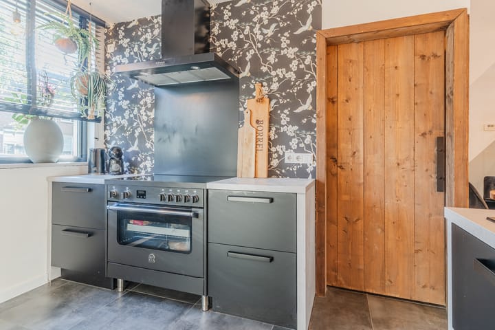 Foto 15 van Snaphaan 11