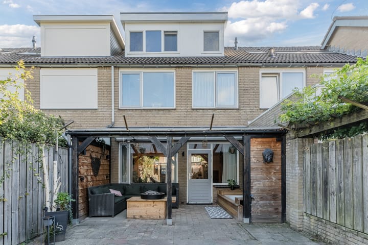 Foto 16 van Snaphaan 11