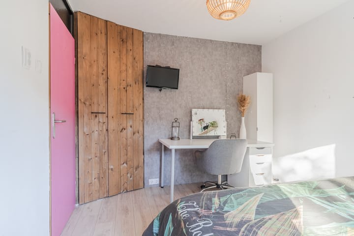 Foto 26 van Snaphaan 11