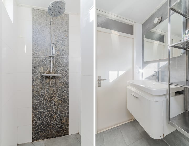 Foto 28 van Snaphaan 11